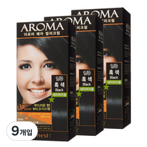 에네스티 아로마 염모제 새치머리용, 1/0 흑색, 9개