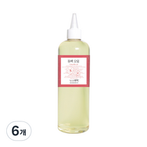 맑을담 동백 오일, 6개, 500ml