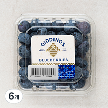 PSK 칠레산 블루베리, 125g, 6개