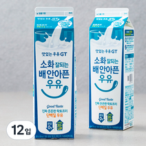 맛있는우유GT 소화 잘되는 배 안아픈 우유, 900ml, 12입