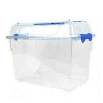 와이피 클린 곤충 채집통 XL, 혼합색상, 1개