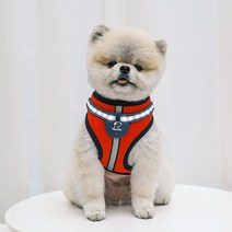 리얼펫 화이트 LED 하네스 강아지 외출 가슴줄, RED