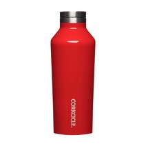 콕시클 보온 보냉 진공 텀블러 보틀 캔틴, 카디날, 270ml