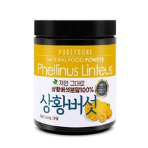 퓨어영 상황버섯 분말, 110g, 1통