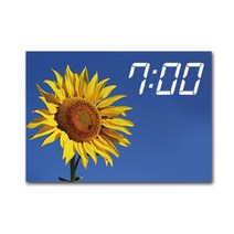 홈마인 LED 시계 캔버스 프린팅 액자 해바라기 A3, 20