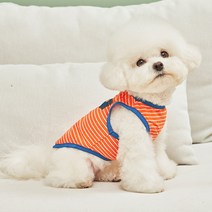 쁘띠도그 포켓나시티 DT029, 오렌지