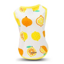 딩동펫 반려동물 후르츠 나시, 레몬