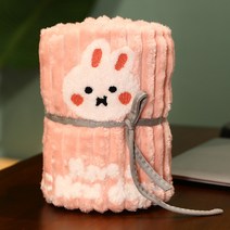 DIDA 자수 캐릭터 융단 양면 담요