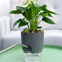 모리앤 원형 저면관수 화분 2p, 그레이