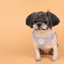 위러브 파스텔 에어메쉬 데이지 하네스, 블루