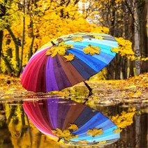 밀스턴 5D 비즈 계절풍경 다이아몬드십자수 DIY 키트 30 x 40 cm, 단풍속무지개우산, 1세트