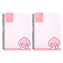 카카오프렌즈 모던st 4분할 그리드 스프링 노트, 2개, 어피치