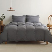 라셀렌 빌리프 헝가리 90 구스다운 차렵이불 800g, 웜차콜