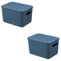 더플로우컴퍼니 정리왕 필수품 마카롱 플라스틱 보관 수납함 C 8L, 블루, 2개