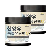 초담식품 산양유 농축유단백Q, 2개, 200g