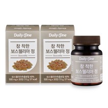 데일리원 참 착한 보스웰리아 정 15g, 2개