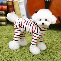 펫디자인 더블ST 올인원, 아이보리