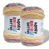 니뜨 허니 레인보우 코튼 뜨개실 100g x 2p, 533레인보우샤베트