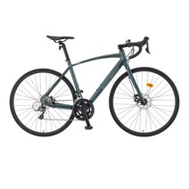 아팔란치아 로드 자전거 16단 490 700C R16D 미조립 + 조립쿠폰, 166cm, 다크 카키실버