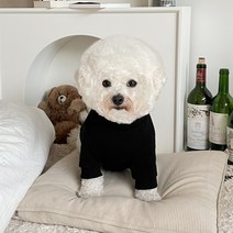 바이담수미 강아지 헬로 베어 커플 맨투맨, 블랙