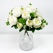 오스틴 장미 부쉬 2p, 화이트