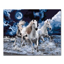 아디코 DIY 페인팅 일러스트 명화그리기 50 x 40 cm, 파도 속 질주말(PEE11)