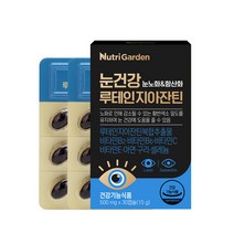뉴트리가든 눈건강 루테인지아잔틴 15g, 30정, 1개