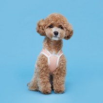 플로트 강아지 릴렉스 나시, 피치