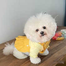 바이담수미 강아지 럽럽 멜빵 치마, 머스타드