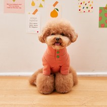 베니즈 반려동물 프렌즈 터틀넥 티셔츠, 오렌지