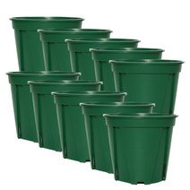 모리앤 슬릿화분 10p, 그린