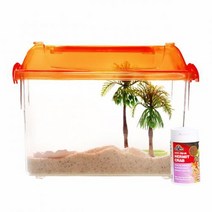 미미네 아쿠아 소라게 키우기 세트, 혼합색상