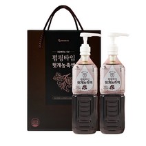 해밀생활건강 펌핑타임 헛개농축액 2p + 전용 펌프 2p 선물세트 + 쇼핑백, 1L, 2개