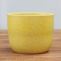 영누몰 다육이 세라믹 마카롱 미니화분 6p, 옐로우