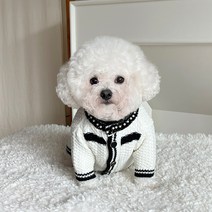 바이담수미 샤샤 트위드 강아지 가디건, 화이트