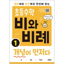초등수학 비와 비례 개념이 먼저다 1, 키출판사