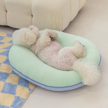 포글 반려동물 사계절 강아지 방석 허그 쿠션, 클리어민트