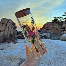 [유리병꽃편지] [프렌치로즈]6타입 LED 코르크 유리병 기념일 선물 꽃 편지지 세트, 핑크프리저브드플라워