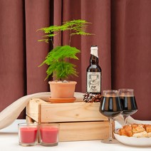 아스파라거스 나누스_이탈리아 EV 실린드로 토분(11cm)_2colors, 모카