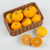 (최상품) 제주 제주도 황금향 귤 만감류 고당도 3kg 5kg 10kg 3키로 5키로 10키로 가정용 선물용 특상품, (5) 특상품 5kg내외, 1개