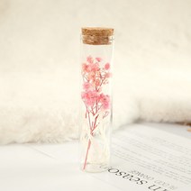 부케돔 안개꽃 미니 말린 보존 꽃 유리 표류 웨딩 파티 장식 위시 병, 3.1PCS Gypsophila