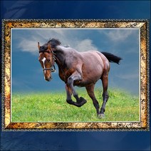 A667/액자/사진액자/풍경사진/말사진/말그림/벽걸이액자