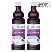 청강원 블루베리청 엑기스 900ml X 2병, 2개