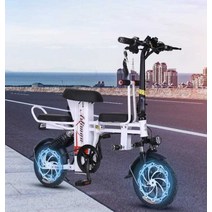 접이식전기자전거 스탠드 전동 세발 전동 출퇴근, 8Ah/30-35km/블랙