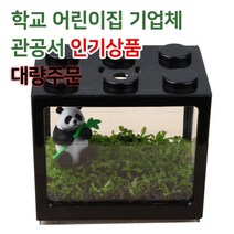 판다핑 파릇파릇 씨앗수초 키우기 식물 관찰 세트, 단품