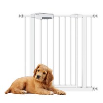 이지핏 애견 강아지 안전문 KH01M02S 소형, 단품