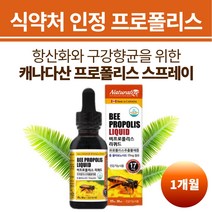 뿌리는프로폴리스 목스프레이 액상 리퀴드 원액 30ml 구강 건강 항산화 프리미엄 BEEPROPOLIS 식약처인정 고함량 PROPOLISSPRAY 천연 데일리 플라보노이드 리퀴드