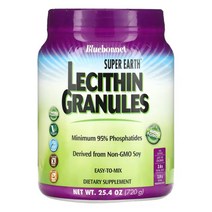 블루보넷 레시틴 가루 파우더 Lecithin 720G, 1개