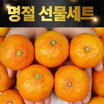 제주하귤 3kg 2kg추석귤 추석선물세트고당도귤, 제주 하우스귤 일반 10kg