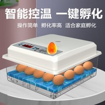 병아리부화기 인큐베이터 소형 가정용 거위 메추리알, 상세확인, 08.거품(이중전동) 무음부화 32개